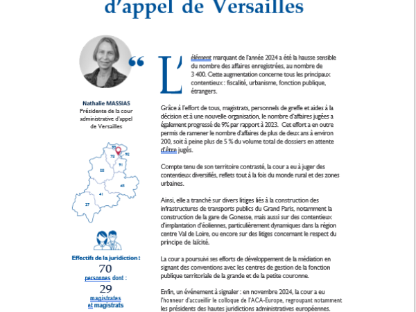 Bilan de l'activité juridictionnelle 2024 de la cour